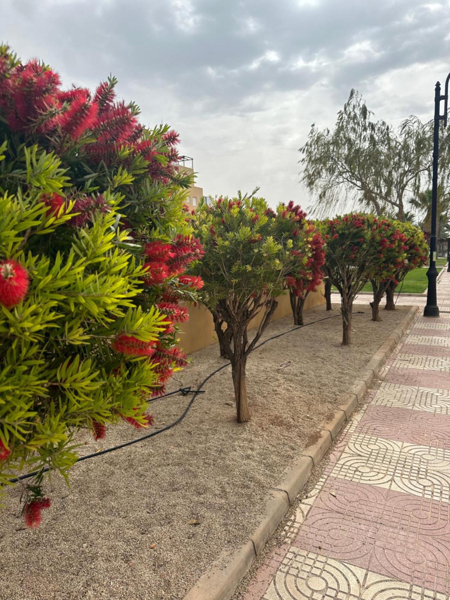 Aguadulce Sol Y Playa- A/C Apartment Roquetas de Mar Luaran gambar